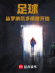足球：从罗纳尔多模板开始章节列表