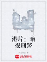 港片：暗夜刑警章节列表