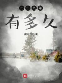 二十八年有多久章节列表