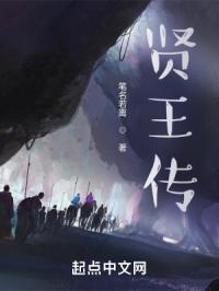 贤王传章节列表