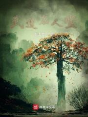 武道名人堂章节列表