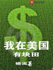 我在美国有块田章节列表