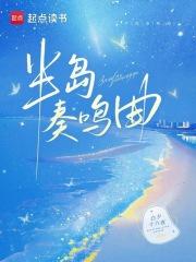 半岛奏鸣曲章节列表