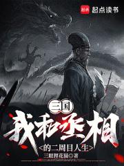 三国：我和丞相的二周目人生章节列表