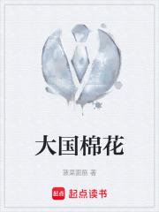 大国棉花章节列表