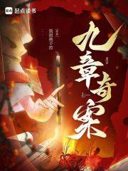 九章奇案章节列表