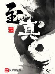 至真章节列表
