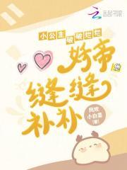 小公主破破烂烂，妖帝他缝缝补补章节列表