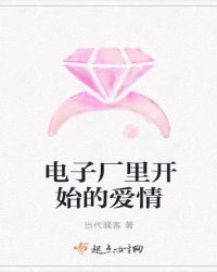 电子厂里开始的爱情章节列表