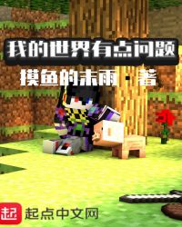 我的世界有点问题章节列表