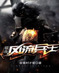 极品风流兵王章节列表