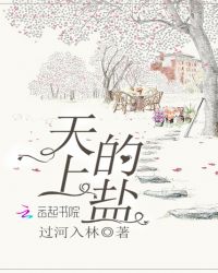 天上的盐章节列表