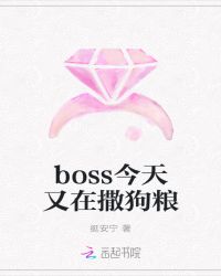 boss今天又在撒狗粮章节列表