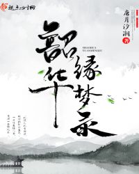 韶华缘梦录章节列表
