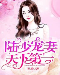 陆少宠妻天下第一章节列表