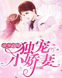帝少追缉：独宠小娇妻章节列表