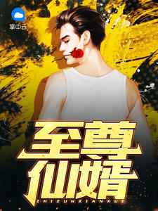 至尊仙婿章节列表