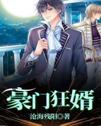 豪门狂婿章节列表