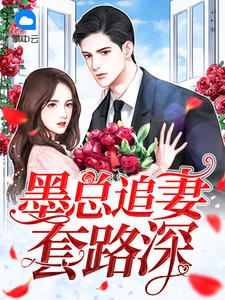 墨总追妻套路深章节列表