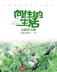 向往的生活之娱乐大师章节列表