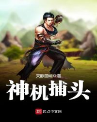 神机捕头章节列表