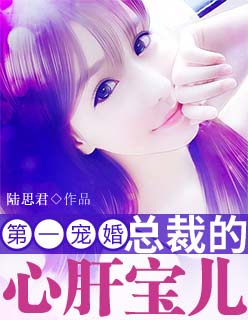 第一宠婚：总裁的心肝宝儿章节列表