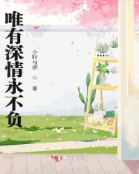 唯有深情永不负章节列表