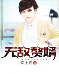 无敌赘婿章节列表