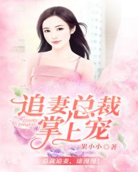 追妻总裁掌上宠章节列表