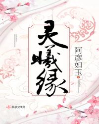 灵曦缘章节列表