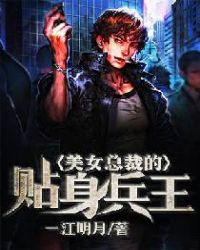 美女总裁的贴身兵王章节列表