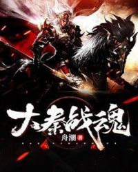 大秦战魂章节列表