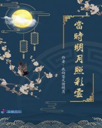 当时明月照彩云章节列表