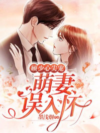 顾少心尖宠：萌妻误入怀章节列表