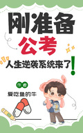刚准备公考，人生逆袭系统来了！章节列表