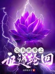 完美世界之证道轮回章节列表