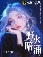 野火暗涌章节列表