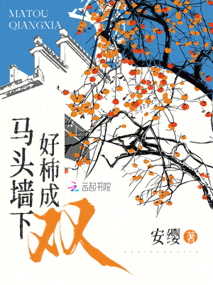 马头墙下好柿成双章节列表