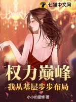 权力巅峰：我从基层步步布局章节列表