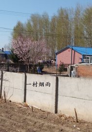 一村烟雨章节列表