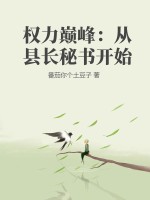 权力巅峰：从县长秘书开始章节列表