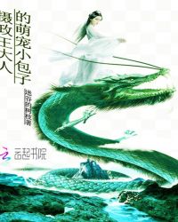 摄政王大人的萌宠小包子章节列表