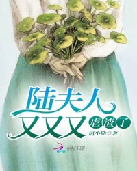 陆少，夫人又又又虐渣了章节列表