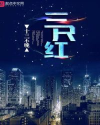 三尺红章节列表