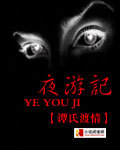 夜游记章节列表
