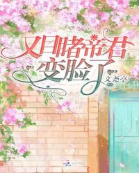 又目睹帝君变脸了章节列表