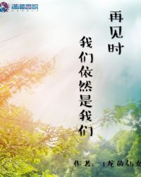 再见时我们依然是我们章节列表