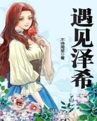 遇见泽希章节列表