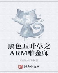 黑色五叶草之ARM雕金师章节列表