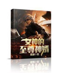 女神的至尊神婿章节列表